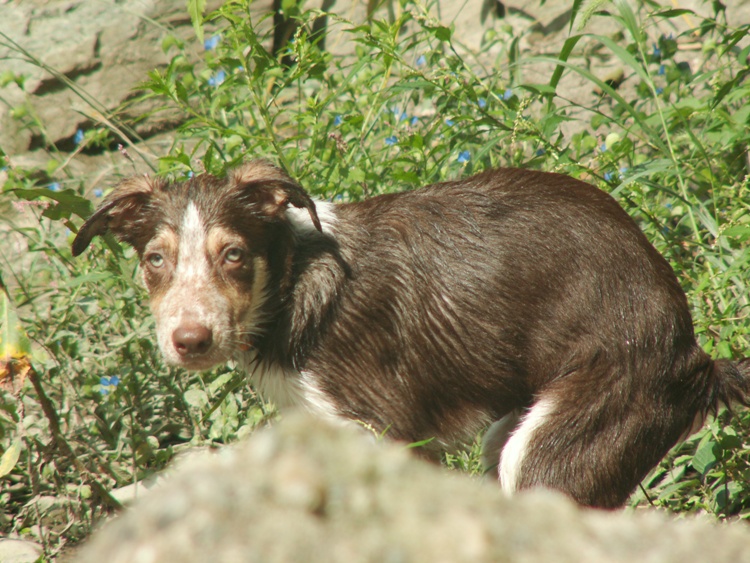 d0077740_2352459.jpg