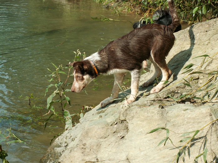d0077740_23561890.jpg