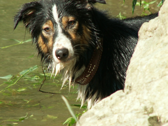 d0077740_23581080.jpg