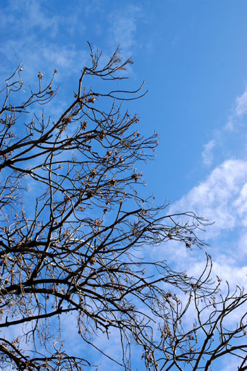 d0008146_1591113.jpg