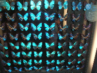 f0023446_14113895.jpg