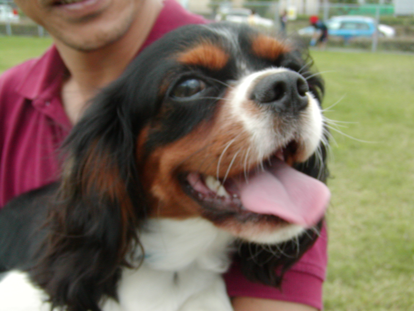 f0039446_12371566.jpg