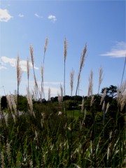b0086858_14352939.jpg