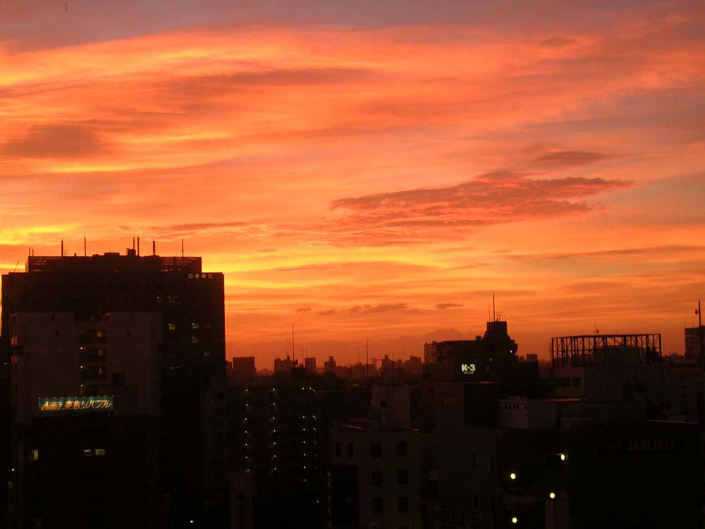 d0089358_10361789.jpg