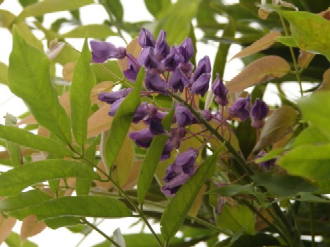 b0061261_9435282.jpg