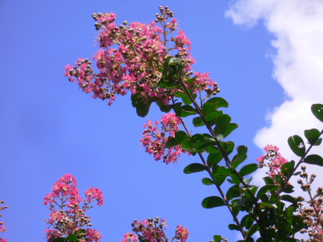 a0063364_2253274.jpg