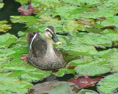 f0086169_21563835.jpg