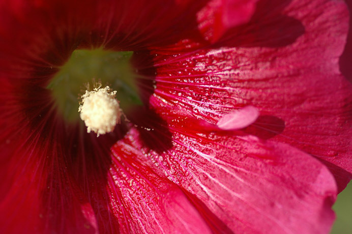 c0026870_1756388.jpg