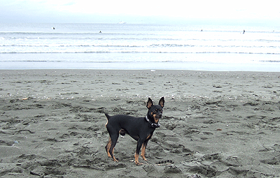 c0012571_20353672.gif