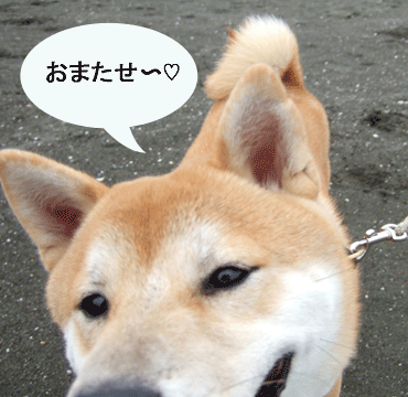 c0012571_20362473.gif