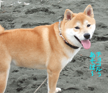 c0012571_2037498.gif