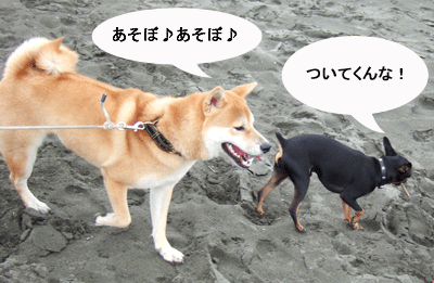 c0012571_20384673.gif