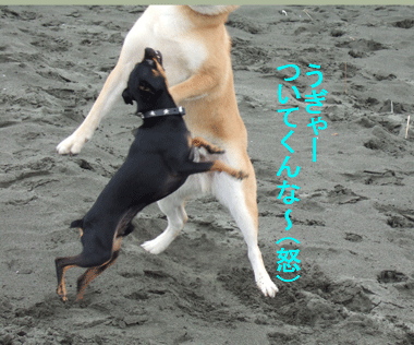 c0012571_20393471.gif