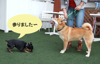 c0012571_20395841.gif