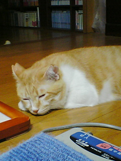 f0095271_22511465.jpg