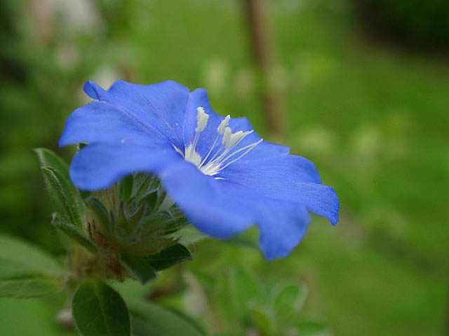 a0079880_17551952.jpg