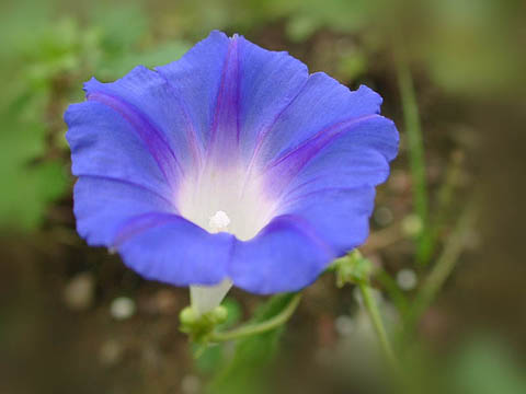 a0079880_17575299.jpg