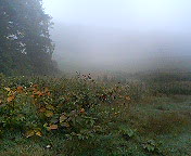f0016981_21291871.jpg