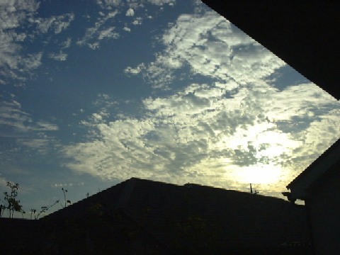 f0039281_22162491.jpg