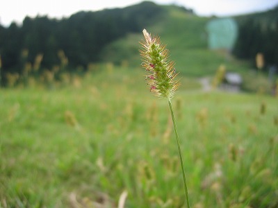a0038882_9344374.jpg