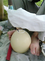 c0068783_21115062.jpg
