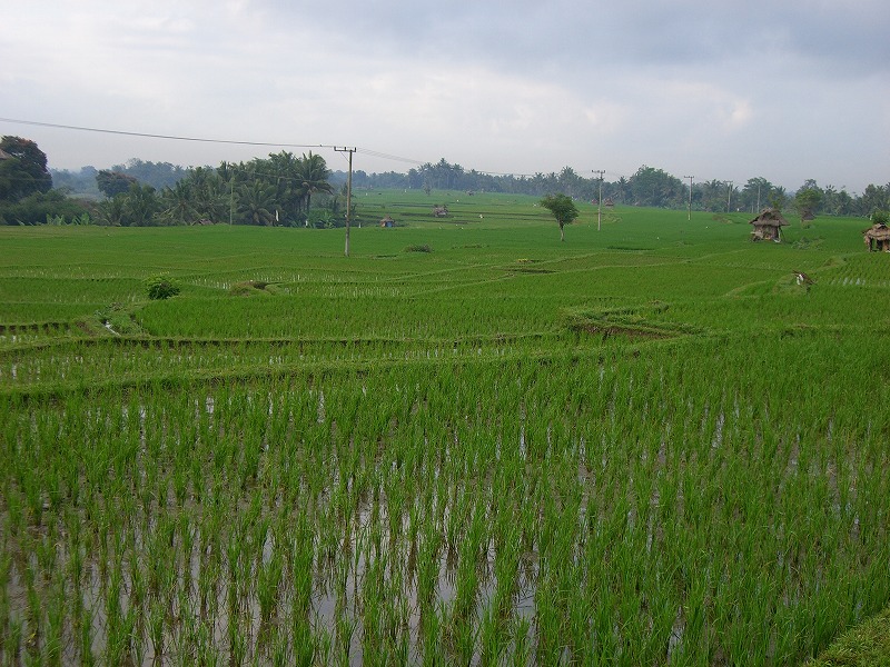 b0101284_2354142.jpg