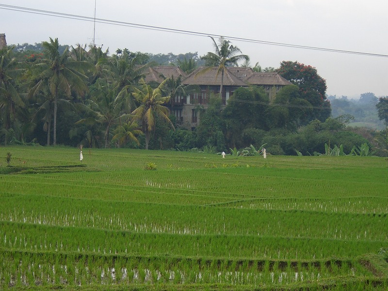b0101284_23545096.jpg