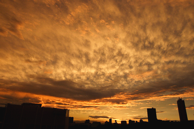 b0067789_0482259.jpg