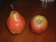 c0068891_2255924.jpg