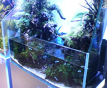 d0064591_127938.jpg