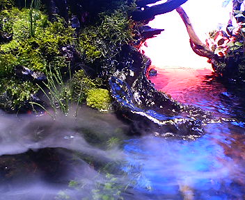 d0064591_1363985.jpg