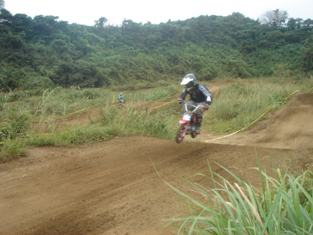 d0090192_76189.jpg