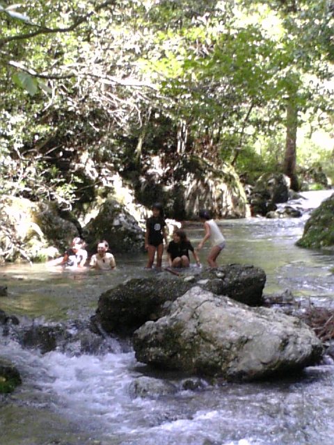 e0068496_12001.jpg