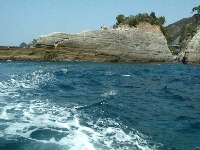 b0071405_10313742.jpg