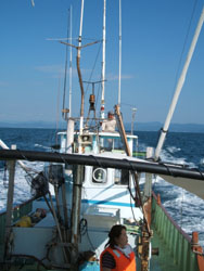 f0048405_15234499.jpg
