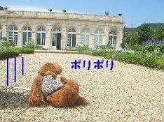 a0007906_10503312.jpg