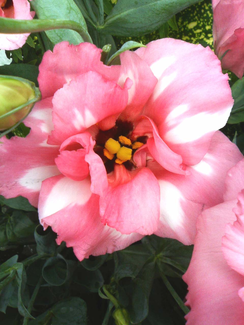 e0080524_22201514.jpg