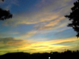 a0080231_20957.jpg