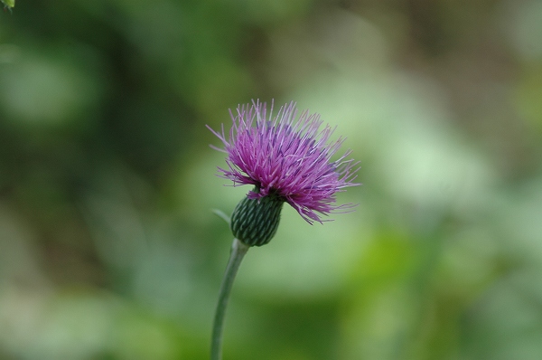a0017634_0181499.jpg