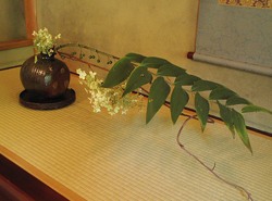 b0035734_23302582.jpg
