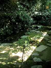 b0035734_23334157.jpg