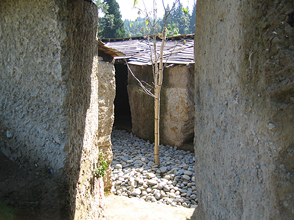 c0000134_17131839.jpg