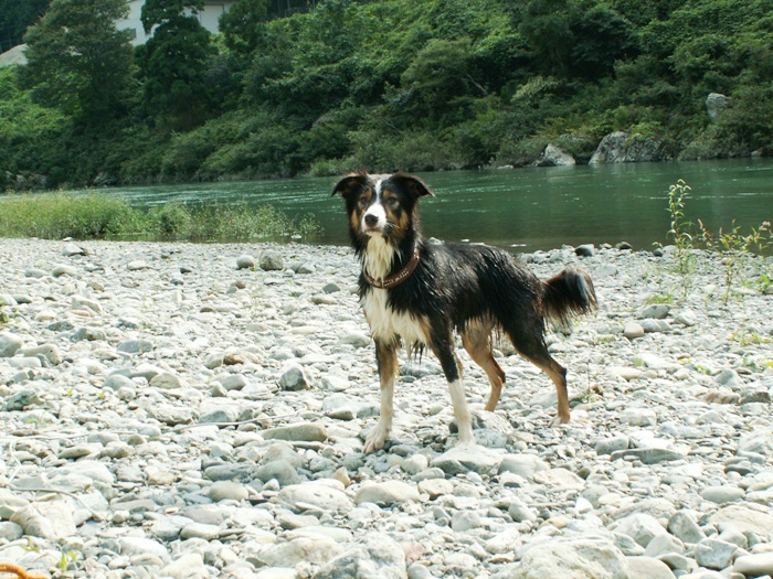 d0077740_05367.jpg