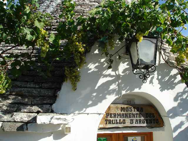 d0092347_11223931.jpg