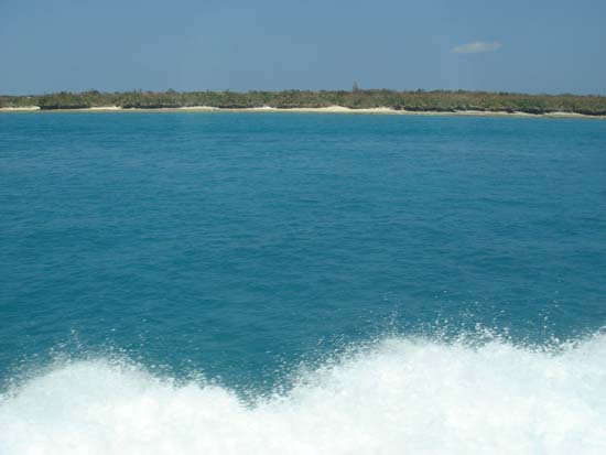 b0049152_20364524.jpg