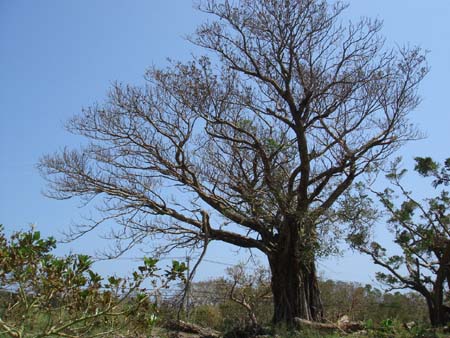 b0049152_20371753.jpg