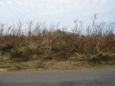 b0049152_20372745.jpg