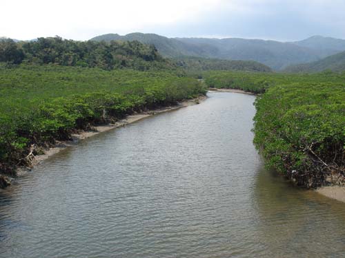 b0049152_20373933.jpg