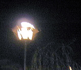 d0031853_163631.jpg