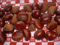 b0074862_2355080.jpg